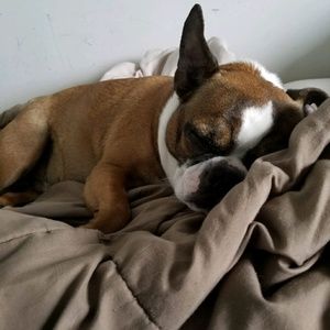 Meet your Posher, Paul